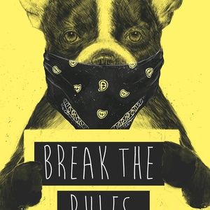 Meet your Posher, Don